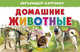 Домашние животные. Обучающие карточки, Глушкова Н. 