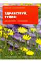 Здравствуй, Тунис!, Сологубовский Николай Алексеевич 