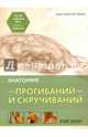 Анатомия прогибаний и скручиваний, Лонг Рэй 