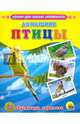 Домашние птицы. Обучающие карточки., 