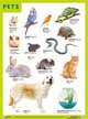 Плакаты (англ). PETS (Домашние питомцы), 