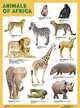 Плакаты (англ). ANIMALS OF AFRICA (Животные Африки), 