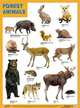 Плакат Forest animals (Лесные обитатели), 