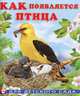 Как появляется птица, Ирина Гурина 