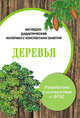 Деревья. Наглядно-дидактический материал с конспектами занятий. ФГОС, Васильева И. 