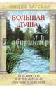 Полное собрание сочинений. Том 13. Большая душа, Чарская Лидия Алексеевна 