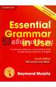 Essential Gram in Use + Interact eBook, Murphy Raymond 