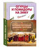 Большая коллекция домашних заготовок (комплект из 6 книг) (количество томов: 6), 