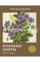 Полевые цветы. АЛЬБОМ ДЛЯ РАСКРАШИВАНИЯ., Шеварева Т. 