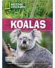 Koalas, Waring Rob 