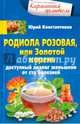 Родиола розовая, или Золотой корень. Доступный аналог женьшеня от ста болезней, Константинов Юрий 