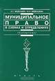Муниципальное право в схемах и определениях. Учебное пособие для ВУЗов, А. Г. Федощев, Н. Н. Федощева 