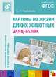 Картины из жизни диких животных. Заяц-беляк ФГОС, Николаева С. Н 