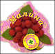 Малина. Книга на магните, 
