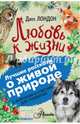 Любовь к жизни, Лондон Джек 