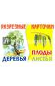 Разрезные карточки "Деревья, плоды, листья", 