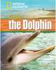 Cupid the Dolphin (+ DVD), Waring Rob 
