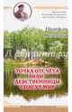 Точка отсчета, или Девственницы спасут мир, Пелевина Надежда 