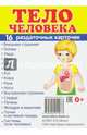 Раздаточные карточки "Тело человека", 