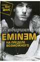 Eminem. На пределе возможного, Бута Елизавета Михайловна 