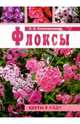 Флоксы, Константинова Е. А. 