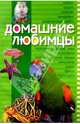 Домашние любимцы, Красинская Наталья Михайловна 