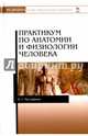 Практикум по анатомии и физиологии человека. Учебное пособие, Мустафина Ирина Григорьевна 
