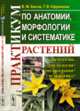 Практикум по анатомии, морфологии и систематике растений, Басов В.М., Ефремова Т.В. 