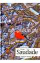 Saudade. Урловские хроники, Купер Александр 