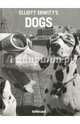 Elliott Erwitt's Dogs, Erwitt Elliott 