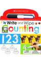 Write and Wipe Counting, 