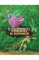 Стрекоза и муравей, Крылов Иван Андреевич 