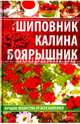 Шиповник, калина, боярышник. Лучшие лекарства от всех болезней, Сайдакова Раиса Ивановна 