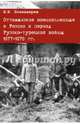 Оттоманские военнопленные в России в период Русско-турецкой войны 1877-1878 гг. Монография, Познахирев Виталий Витальевич 