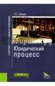 Юридический процесс. Монография, Мишко Роман Сергеевич 
