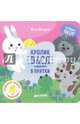 Кролик Вася играет в прятки, Шигарова Юлия Вячеславовна 