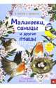 В гости к природе. Малиновки, синицы и другие птицы, 