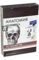 Анатомия человека. Остеология (47 карточек), Сапин Михаил Романович, Николенко Владимир Николаевич, Тимофеева М. О. 