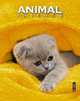 Записная книжка А6 80л.Котенок в желт.полотенце-48197(дут)синяя клетка, 