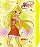48244.Записная книжка на кодовом замкеWinx2 City А5, 