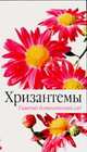 Хризантемы, Кабанцева И.Н. 