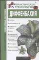 Диффенбахия, Кулиш С.В. 