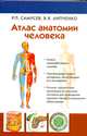 Атлас анатомии человека, Липченко В.Я., Самусев Р.П. 