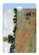 АртХолдер.Monet.Поле маков, 
