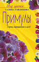 Примулы Сорта выращивание и уход, Тавлинова 