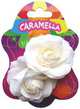 Набор заколочек-невидимок с цветами 2шт, беж., CARAMELLA 