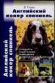 Английский кокер спаниэль, Кэдди Д. 
