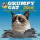 Grumpy Cat 2016. Календарь от самой сердитой кошки в мире, 