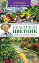 Красивый цветник. Ответы на главные вопросы, Кизима Галина Александровна 