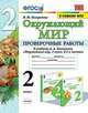 Окружающий мир. 2 класс. Проверочные работы к учебнику А. А. Плешакова. ФГОС, Погорелова Надежда Юрьевна 